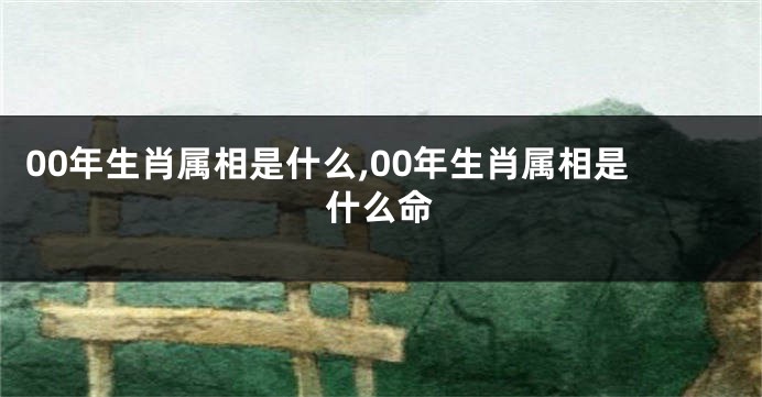 00年生肖属相是什么,00年生肖属相是什么命