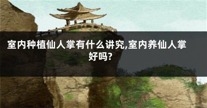 室内种植仙人掌有什么讲究,室内养仙人掌好吗?