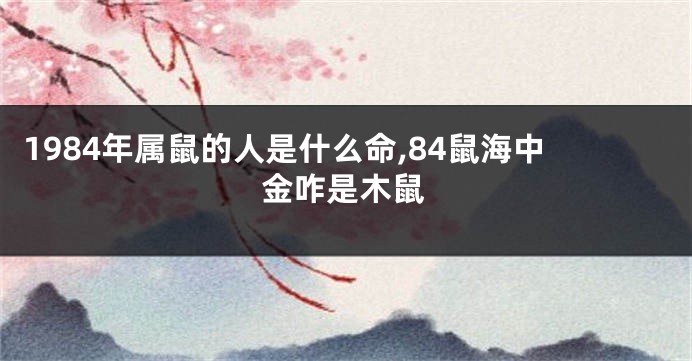 1984年属鼠的人是什么命,84鼠海中金咋是木鼠