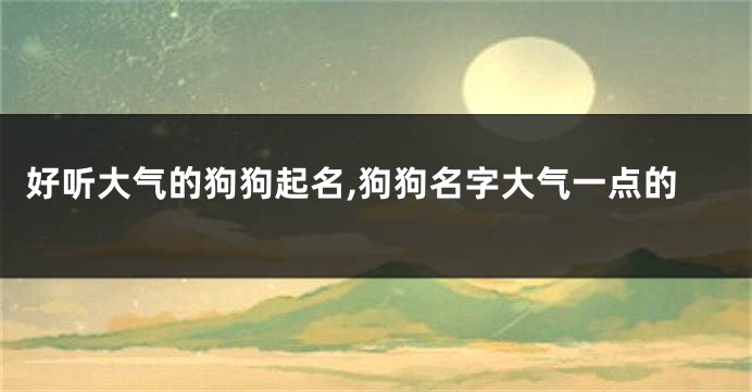 好听大气的狗狗起名,狗狗名字大气一点的