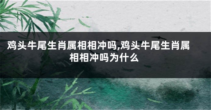 鸡头牛尾生肖属相相冲吗,鸡头牛尾生肖属相相冲吗为什么