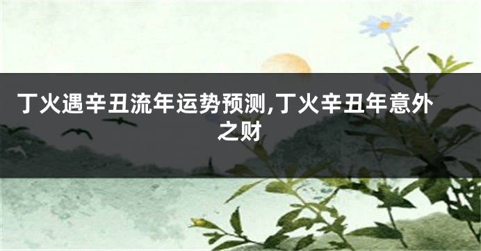 丁火遇辛丑流年运势预测,丁火辛丑年意外之财