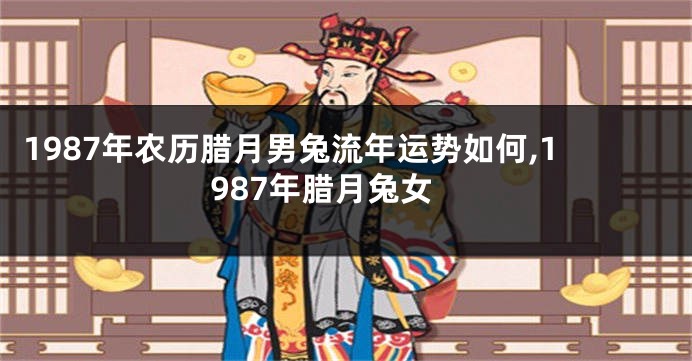 1987年农历腊月男兔流年运势如何,1987年腊月兔女