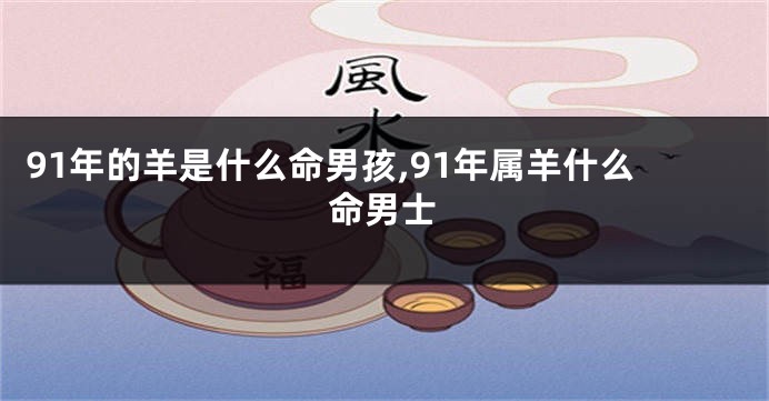91年的羊是什么命男孩,91年属羊什么命男士