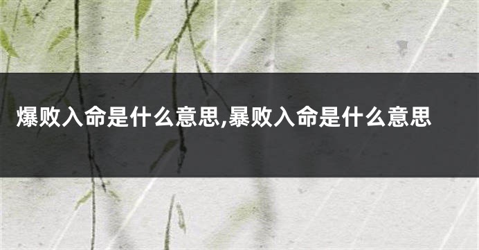 爆败入命是什么意思,暴败入命是什么意思