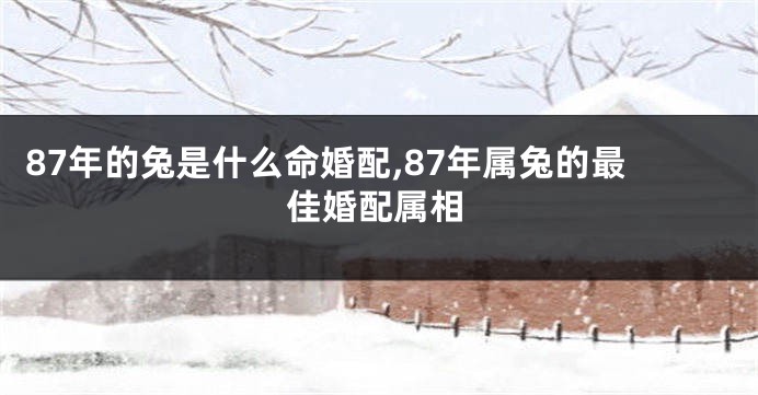 87年的兔是什么命婚配,87年属兔的最佳婚配属相