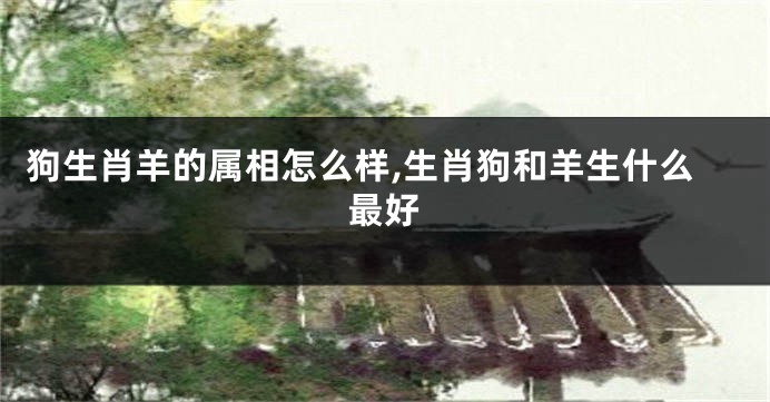 狗生肖羊的属相怎么样,生肖狗和羊生什么最好