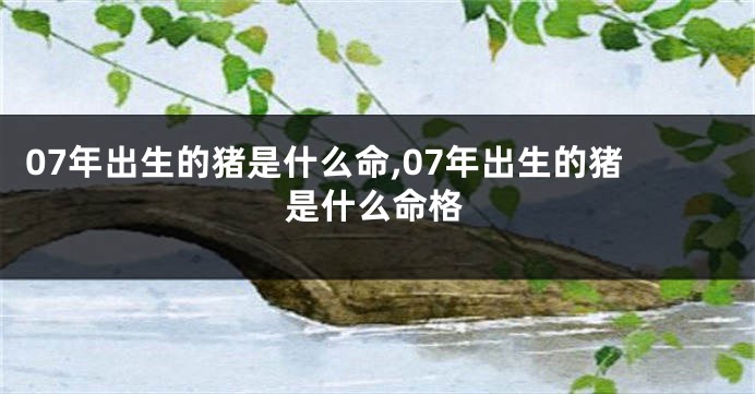 07年出生的猪是什么命,07年出生的猪是什么命格