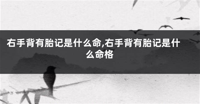 右手背有胎记是什么命,右手背有胎记是什么命格