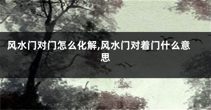 风水门对门怎么化解,风水门对着门什么意思