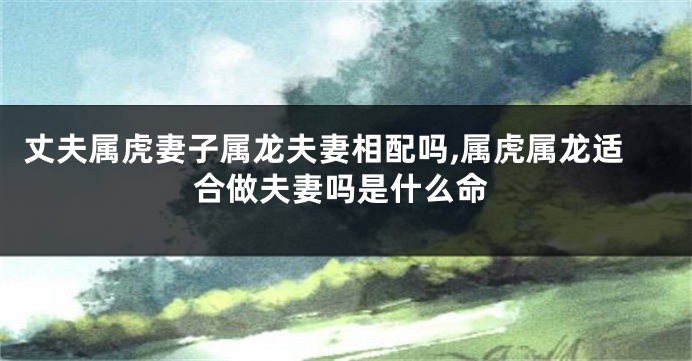 丈夫属虎妻子属龙夫妻相配吗,属虎属龙适合做夫妻吗是什么命