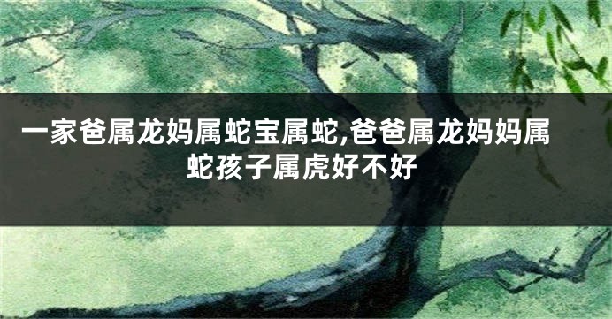 一家爸属龙妈属蛇宝属蛇,爸爸属龙妈妈属蛇孩子属虎好不好