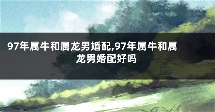 97年属牛和属龙男婚配,97年属牛和属龙男婚配好吗