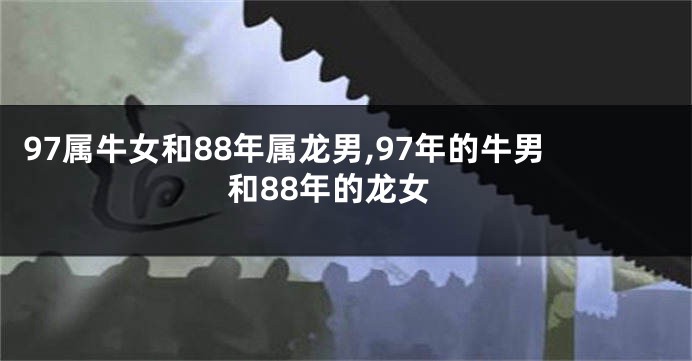97属牛女和88年属龙男,97年的牛男和88年的龙女