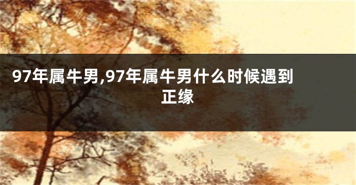 97年属牛男,97年属牛男什么时候遇到正缘