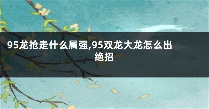 95龙抢走什么属强,95双龙大龙怎么出绝招