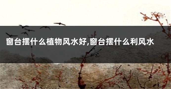 窗台摆什么植物风水好,窗台摆什么利风水