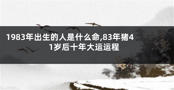 1983年出生的人是什么命,83年猪41岁后十年大运运程