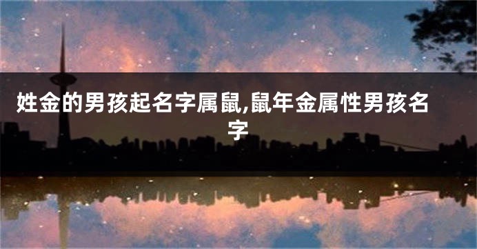 姓金的男孩起名字属鼠,鼠年金属性男孩名字
