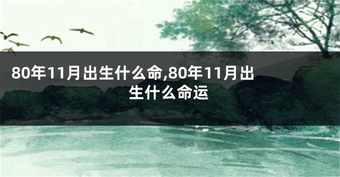 80年11月出生什么命,80年11月出生什么命运