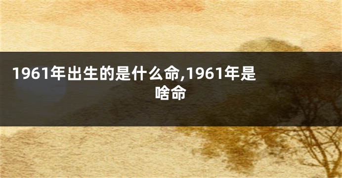 1961年出生的是什么命,1961年是啥命