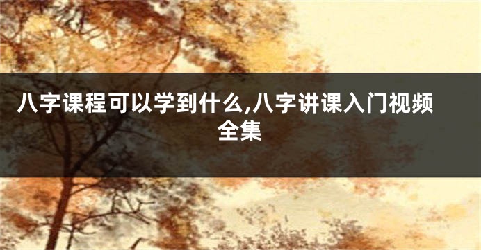 八字课程可以学到什么,八字讲课入门视频全集