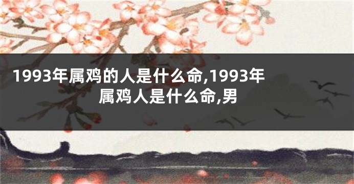 1993年属鸡的人是什么命,1993年属鸡人是什么命,男