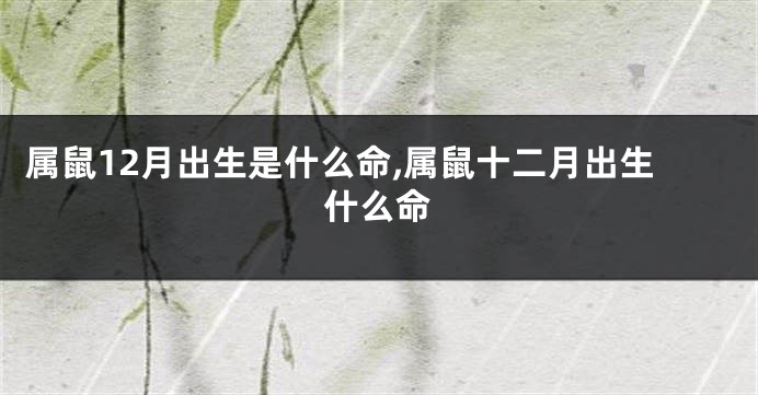 属鼠12月出生是什么命,属鼠十二月出生什么命