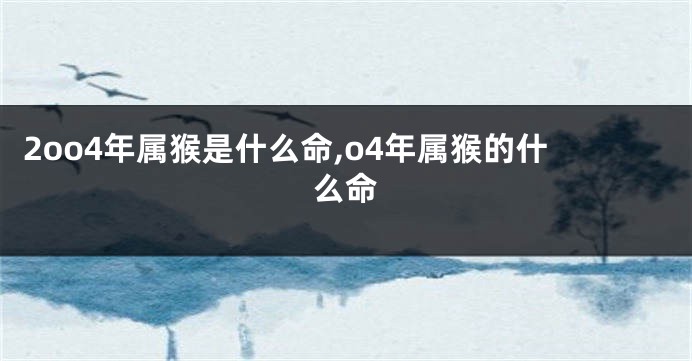 2oo4年属猴是什么命,o4年属猴的什么命