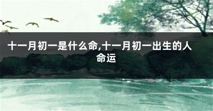 十一月初一是什么命,十一月初一出生的人命运
