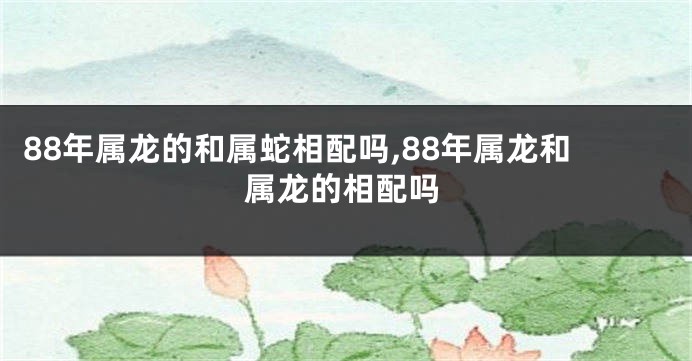 88年属龙的和属蛇相配吗,88年属龙和属龙的相配吗