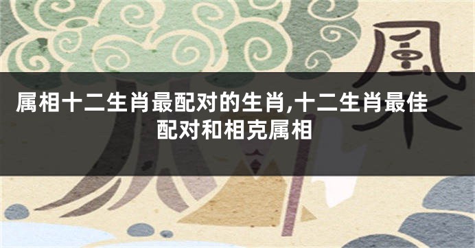 属相十二生肖最配对的生肖,十二生肖最佳配对和相克属相