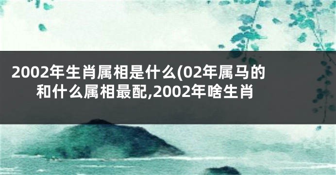 2002年生肖属相是什么(02年属马的和什么属相最配,2002年啥生肖
