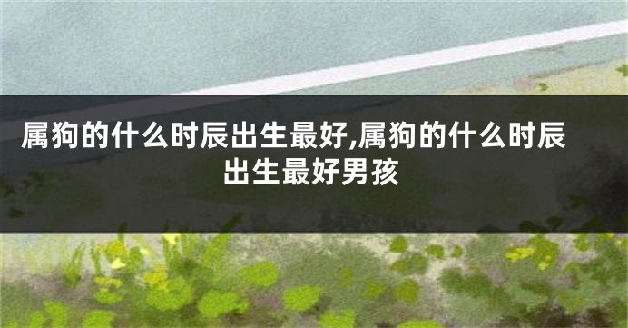 属狗的什么时辰出生最好,属狗的什么时辰出生最好男孩