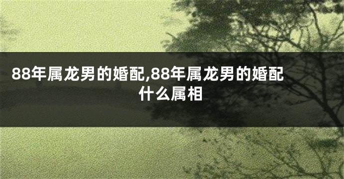 88年属龙男的婚配,88年属龙男的婚配什么属相