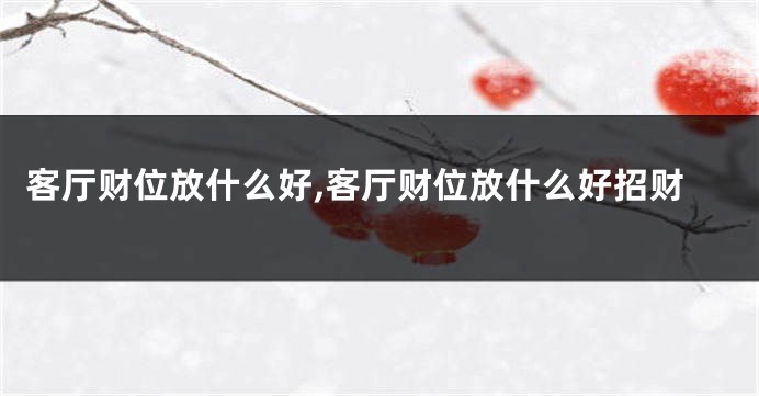 客厅财位放什么好,客厅财位放什么好招财