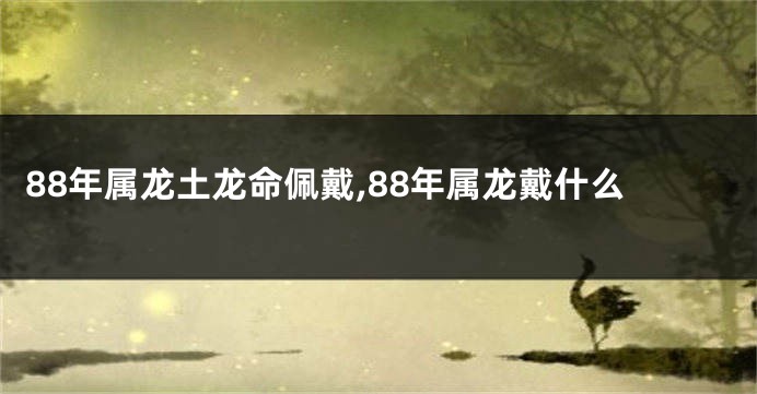 88年属龙土龙命佩戴,88年属龙戴什么