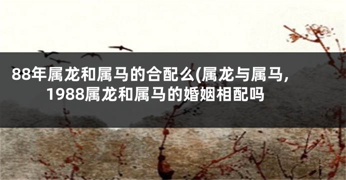 88年属龙和属马的合配么(属龙与属马,1988属龙和属马的婚姻相配吗