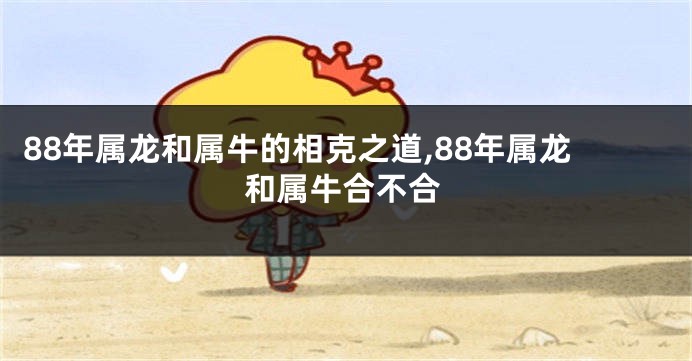 88年属龙和属牛的相克之道,88年属龙和属牛合不合