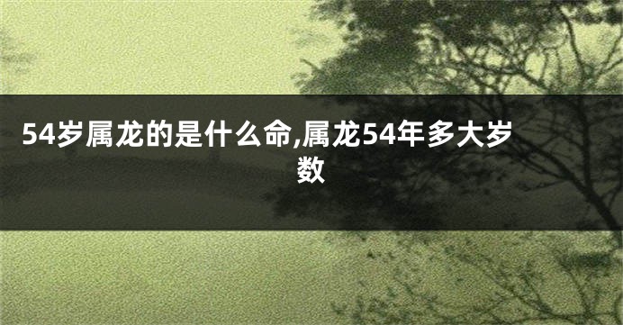 54岁属龙的是什么命,属龙54年多大岁数