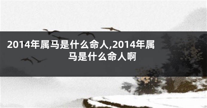 2014年属马是什么命人,2014年属马是什么命人啊