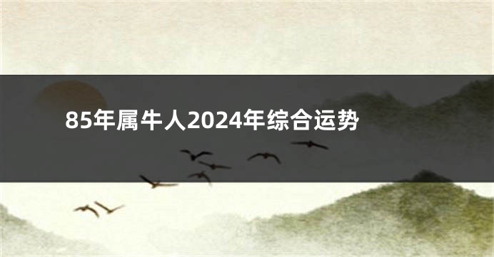 85年属牛人2024年综合运势