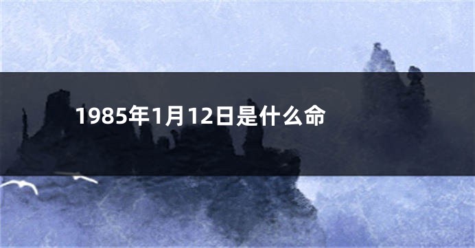 1985年1月12日是什么命