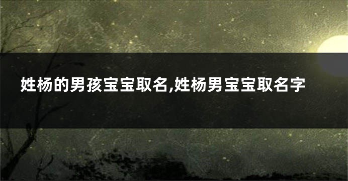 姓杨的男孩宝宝取名,姓杨男宝宝取名字