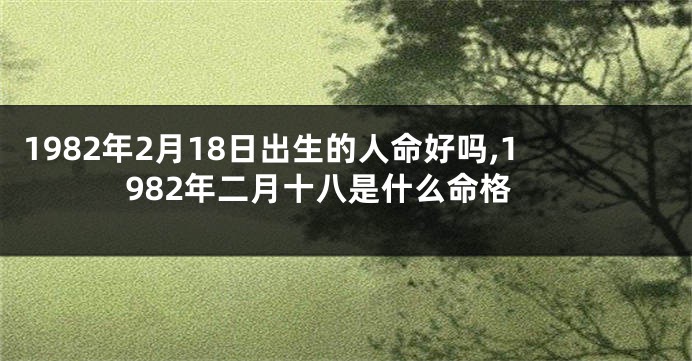 1982年2月18日出生的人命好吗,1982年二月十八是什么命格