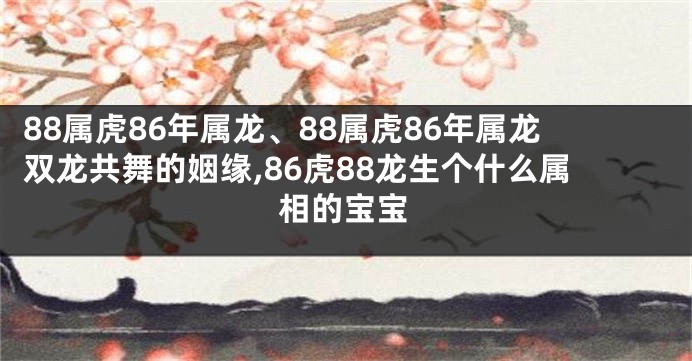 88属虎86年属龙、88属虎86年属龙双龙共舞的姻缘,86虎88龙生个什么属相的宝宝