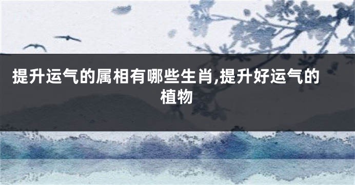 提升运气的属相有哪些生肖,提升好运气的植物