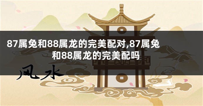 87属兔和88属龙的完美配对,87属兔和88属龙的完美配吗