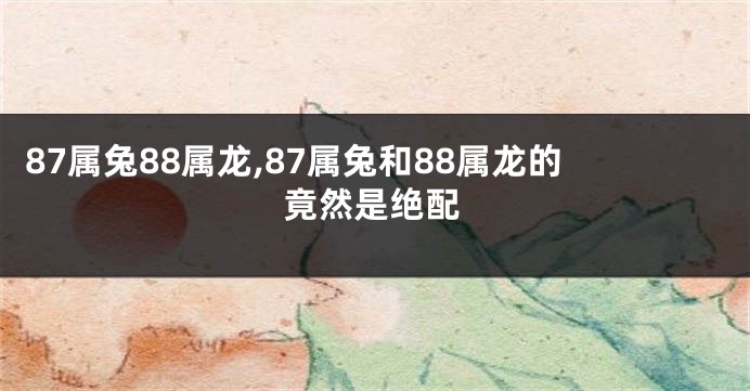 87属兔88属龙,87属兔和88属龙的竟然是绝配