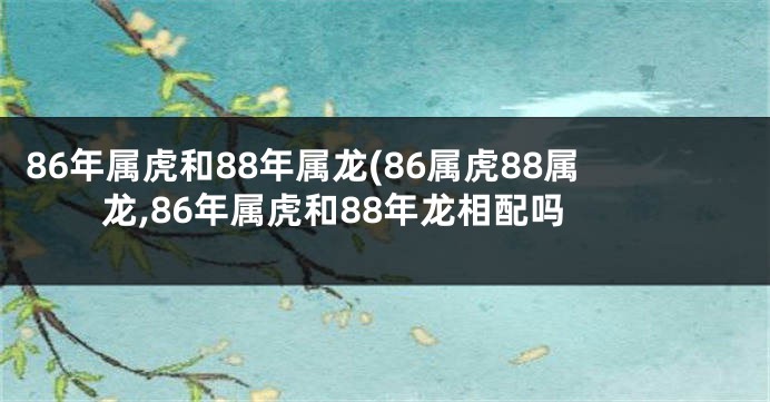 86年属虎和88年属龙(86属虎88属龙,86年属虎和88年龙相配吗